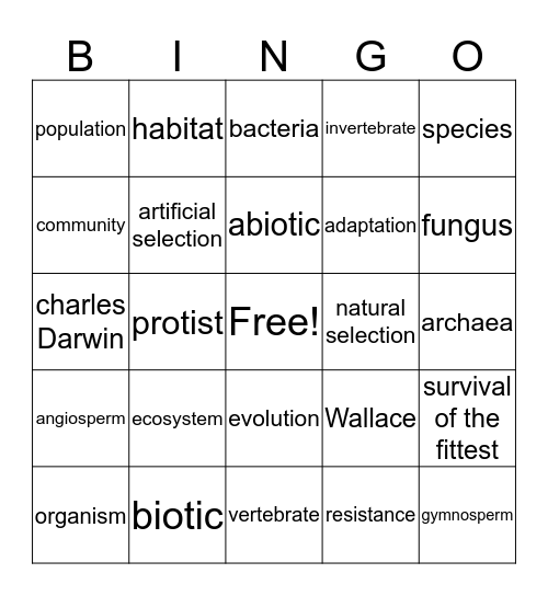 everything connected  chapt 4 Bingo Card