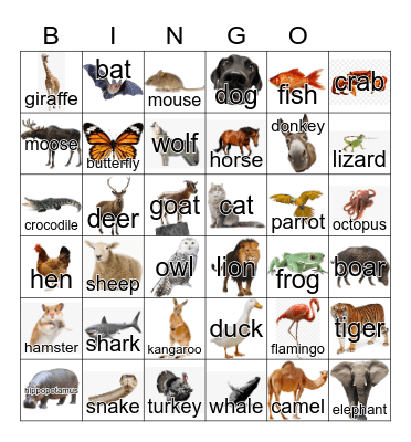 Animals Dinat Bingo Card