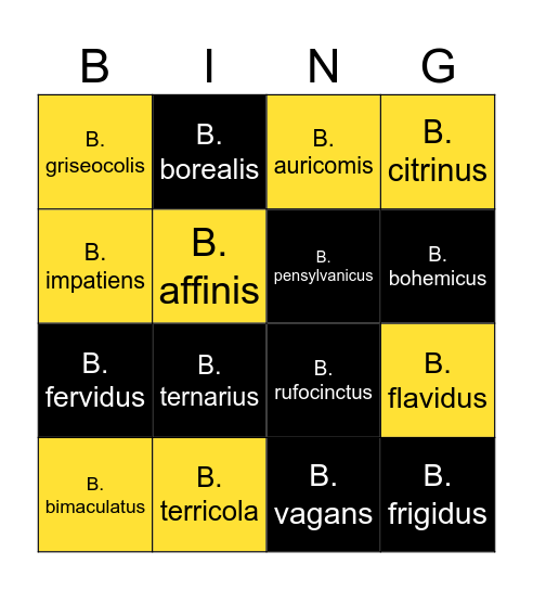 Bumble Bee Bingo! Bingo Card
