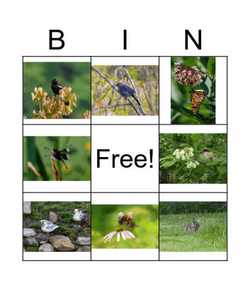 Fuller Farm Bingo Card