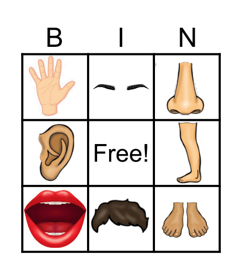 Partes do corpo Bingo Card