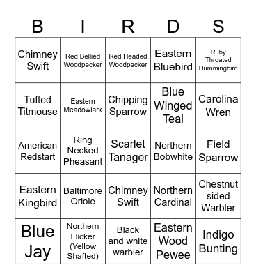 IOWA BIRD BINGO Card