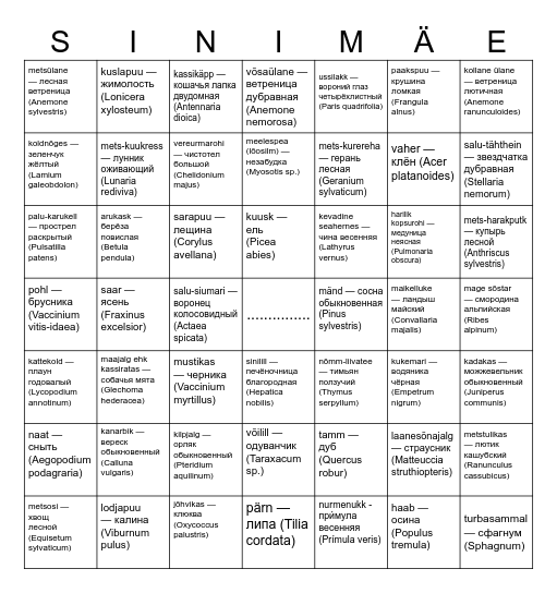 Millised on kevadised salumetsa taimed? Bingo Card