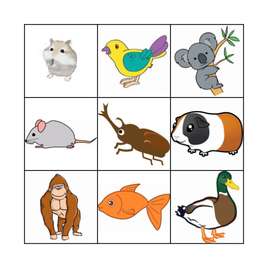 Deslizante quebra cabeça Bingo Card