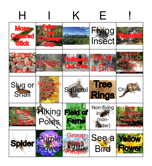 HIKING BINGO!!! Bingo Card