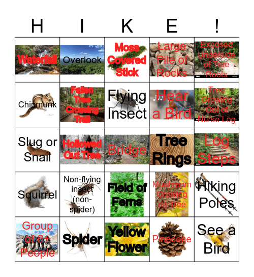 HIKING BINGO!!! Bingo Card