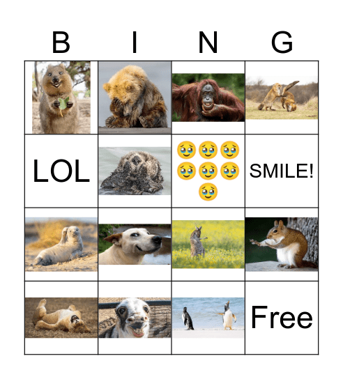 Funny Animals Bingo Card