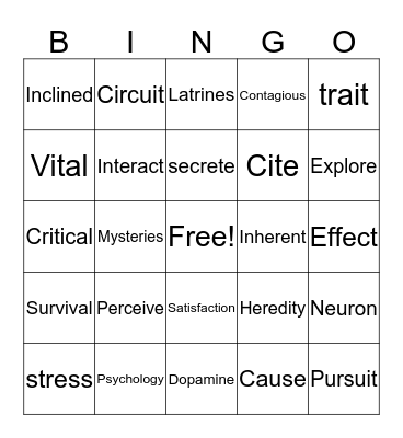 VOCABULARY WORDS Bingo Card