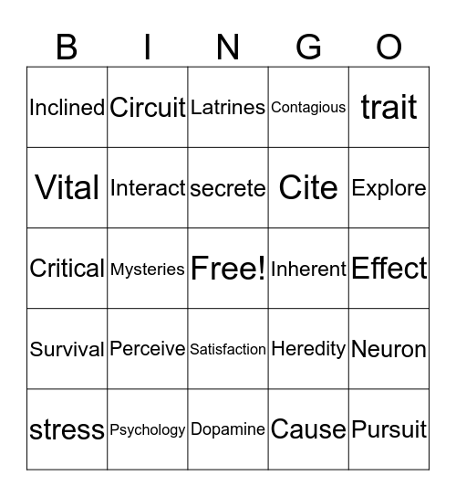 VOCABULARY WORDS Bingo Card