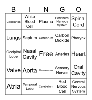 Science Bingo Card