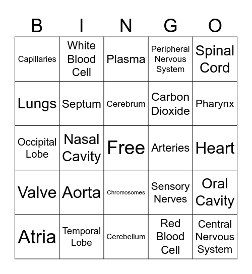 Science Bingo Card
