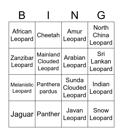 BINGO - Different Leopard Species Bingo Card