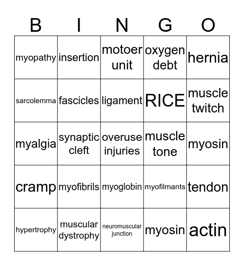 Anatomy Muscles Bingo Card