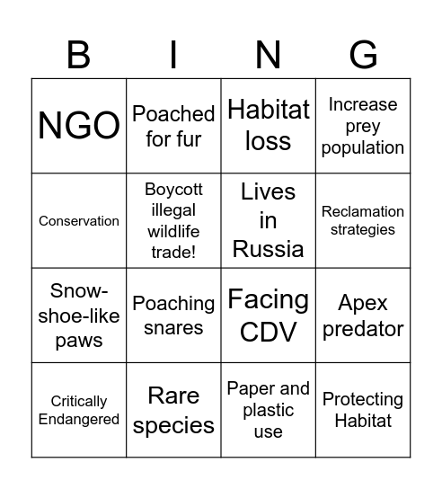 Amur Leopards Bingo Card