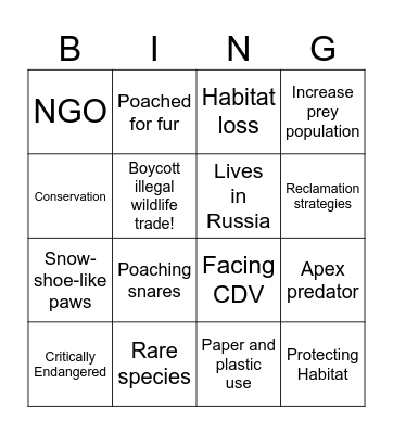 Amur Leopards Bingo Card