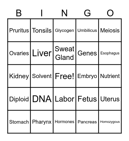 Anatomy Terms Bingo Card
