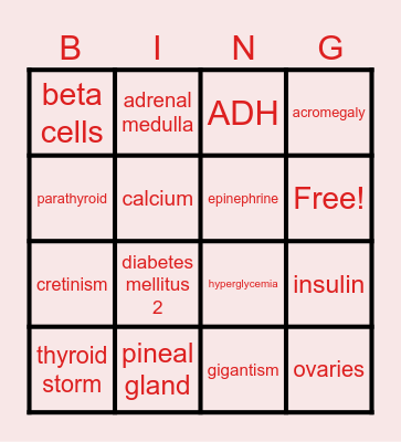 Endocrine Bingo Card