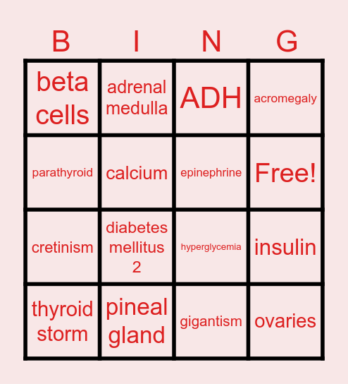 Endocrine Bingo Card