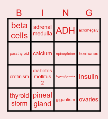 Endocrine Bingo Card