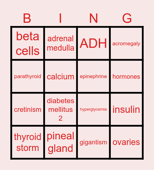 Endocrine Bingo Card