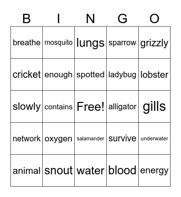 How Animals Breathe Bingo Card