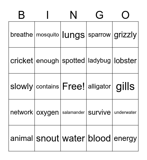 How Animals Breathe Bingo Card