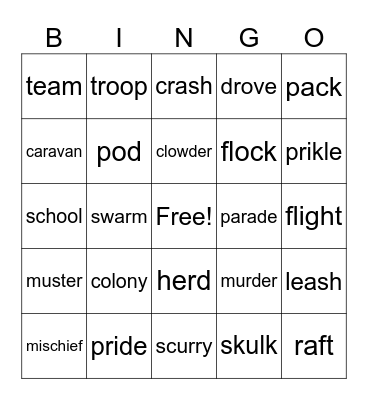 Collective Nouns Bingo Card