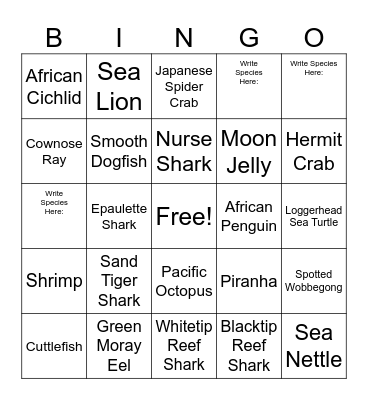 NY AQUARIUM BINGO! Bingo Card