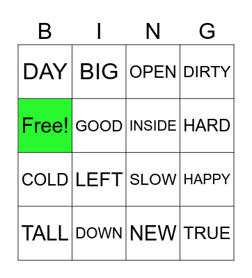 ANTONYMS Bingo Card