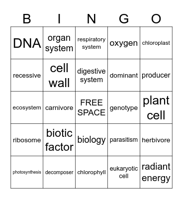 Science Review Bingo Card