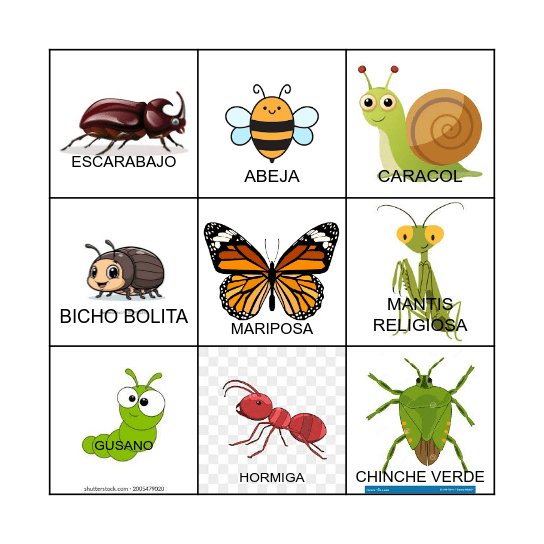 Bingo DE BICHOS Bingo Card