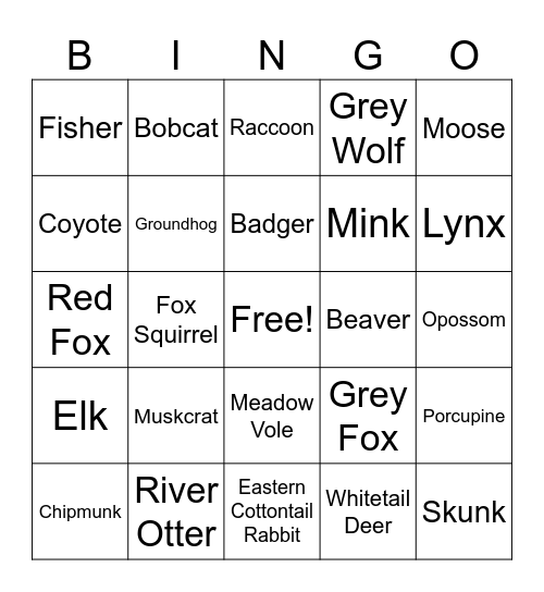 Michigan Mammal Bingo Card