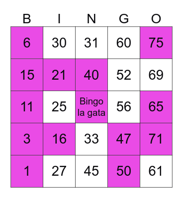 Bingo la gata Bingo Card