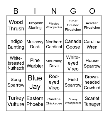 Bird Bingo Card