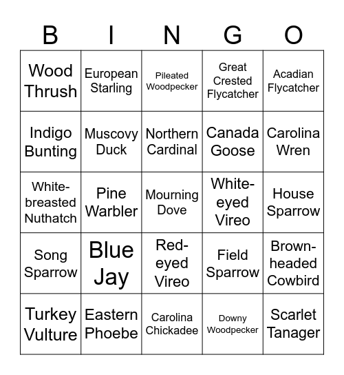 David Crockett State Park Bird Bingo Card