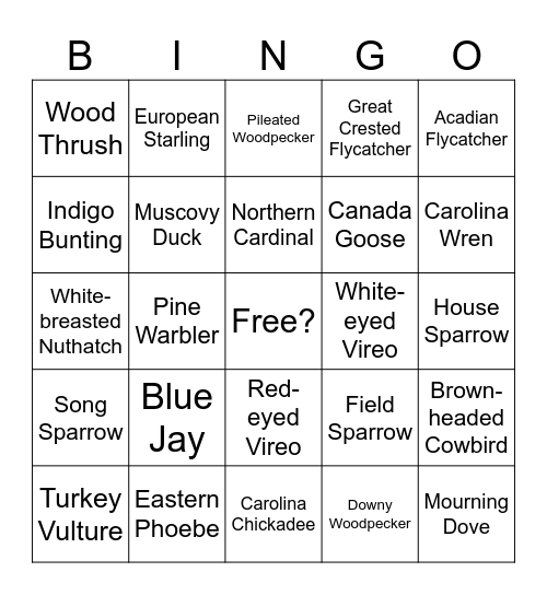 David Crockett State Park Bird Bingo Card