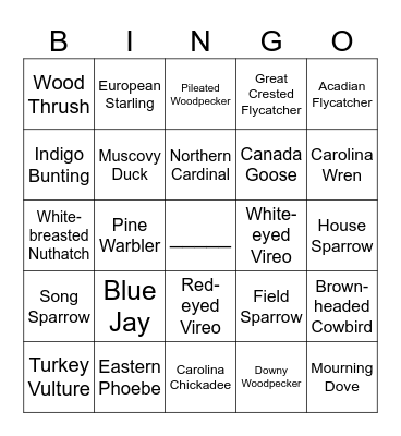 David Crockett State Park Bird Bingo Card