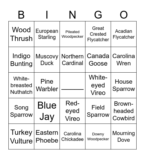 David Crockett State Park Bird Bingo Card