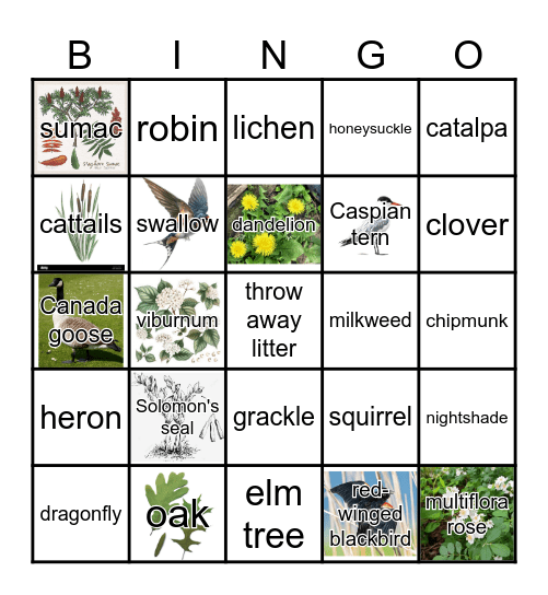 Herrick Lake Bingo Card