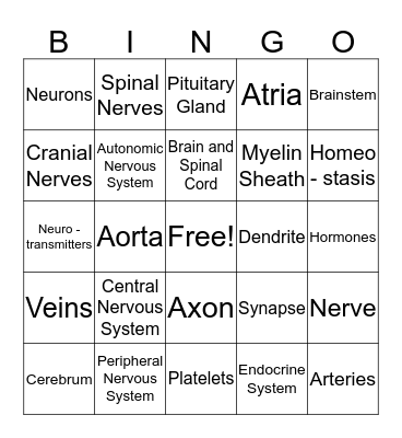 Chapter 9 Nervous and Endocrine Bingo Card