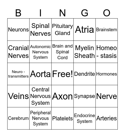 Chapter 9 Nervous and Endocrine Bingo Card