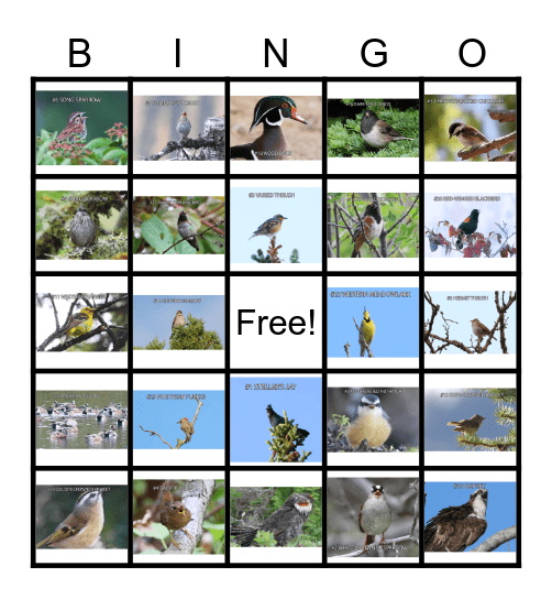 Pacific Northwest Birds Bingo Card