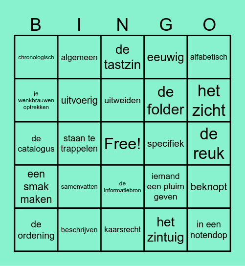 Woordenschat thema 6 Bingo Card