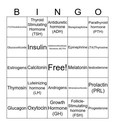 Hormon High Reunion Mixer  Bingo Card