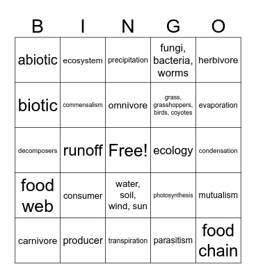 Ecology #1 Bingo Card