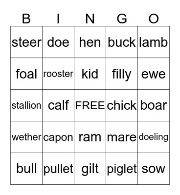 Animal Systems Bingo Card