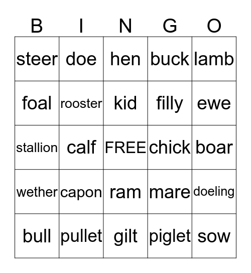 Animal Systems Bingo Card