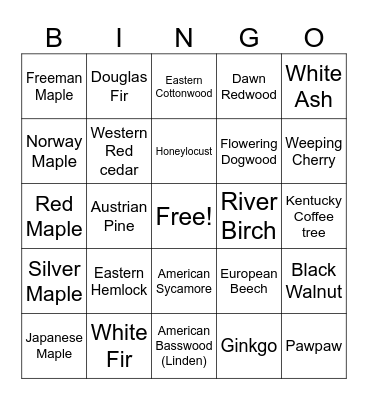 Branching Out Bingo Card