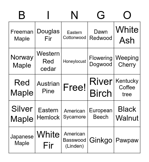 Branching Out Bingo Card