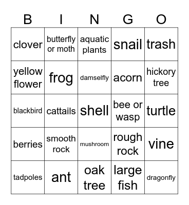 Pond Walk Bingo Card
